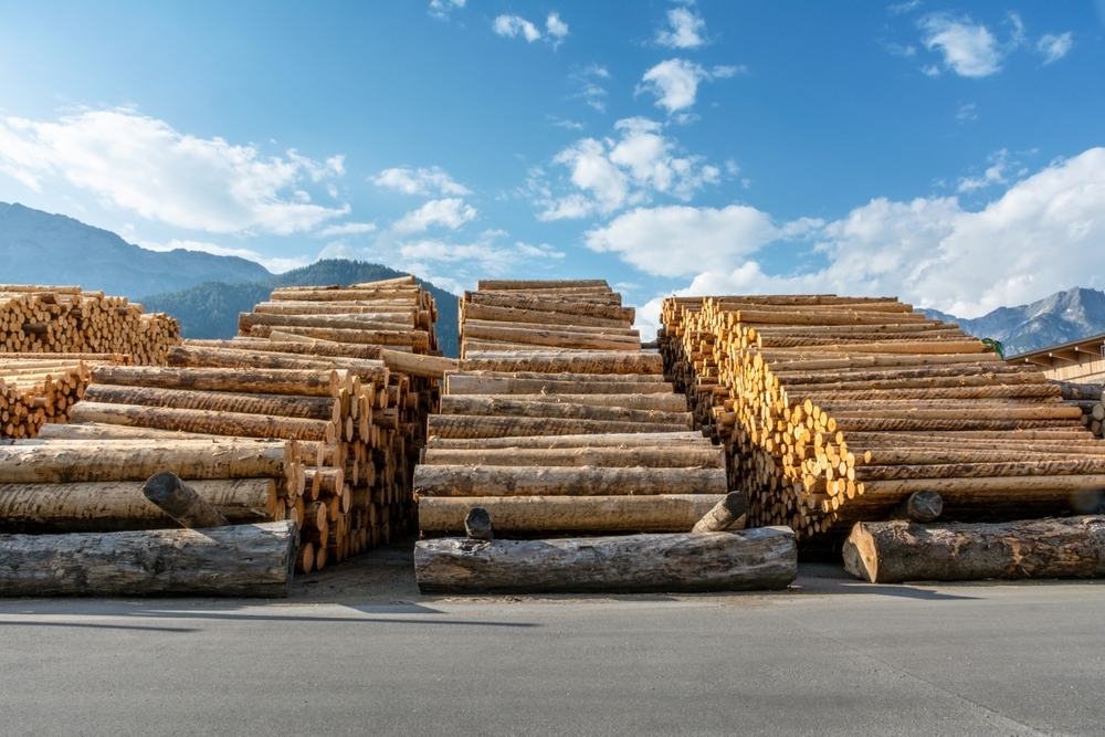 Trump eyes new tariffs on Canadian lumber