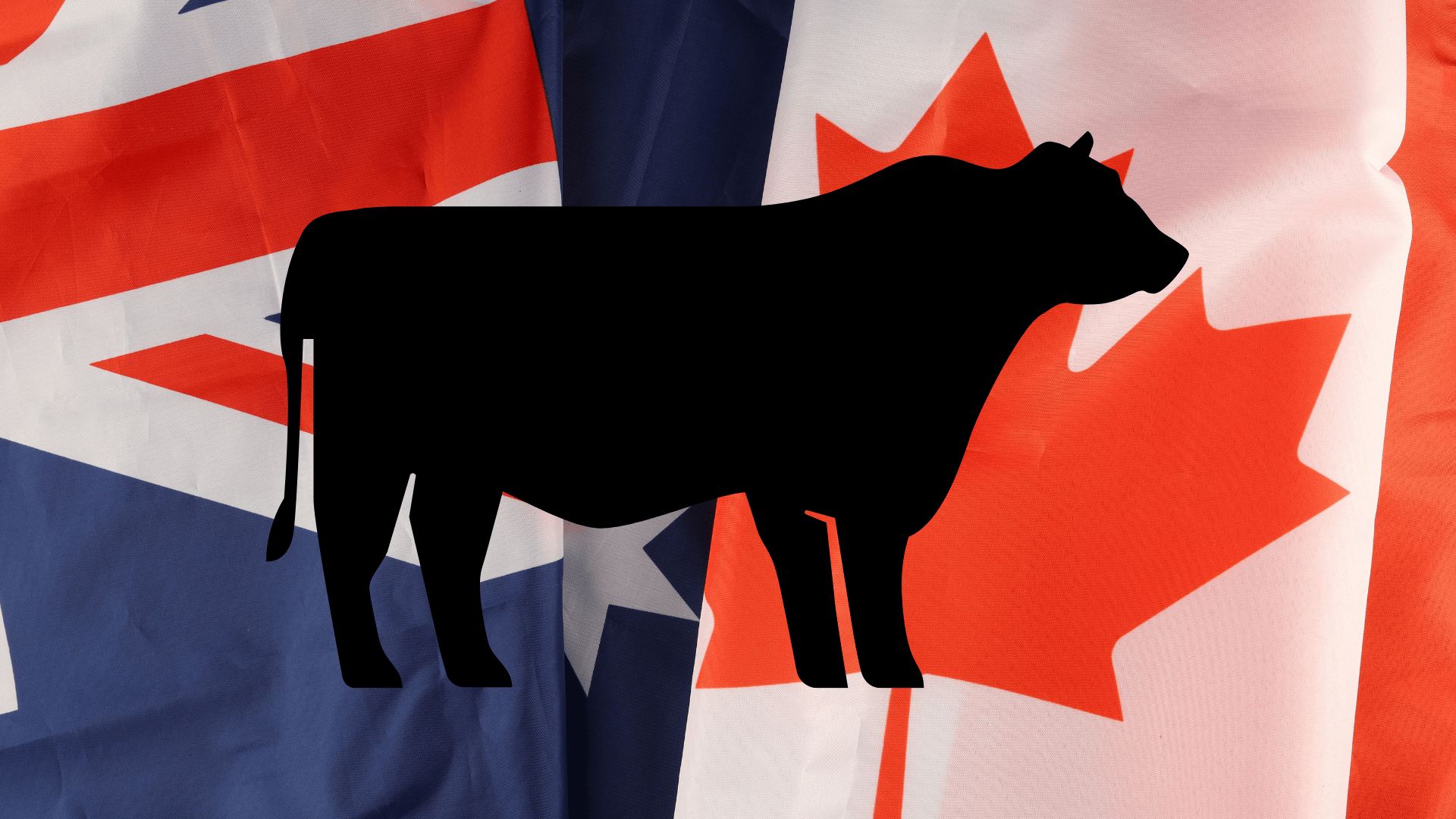 Australia lifts long-standing Canadian beef ban