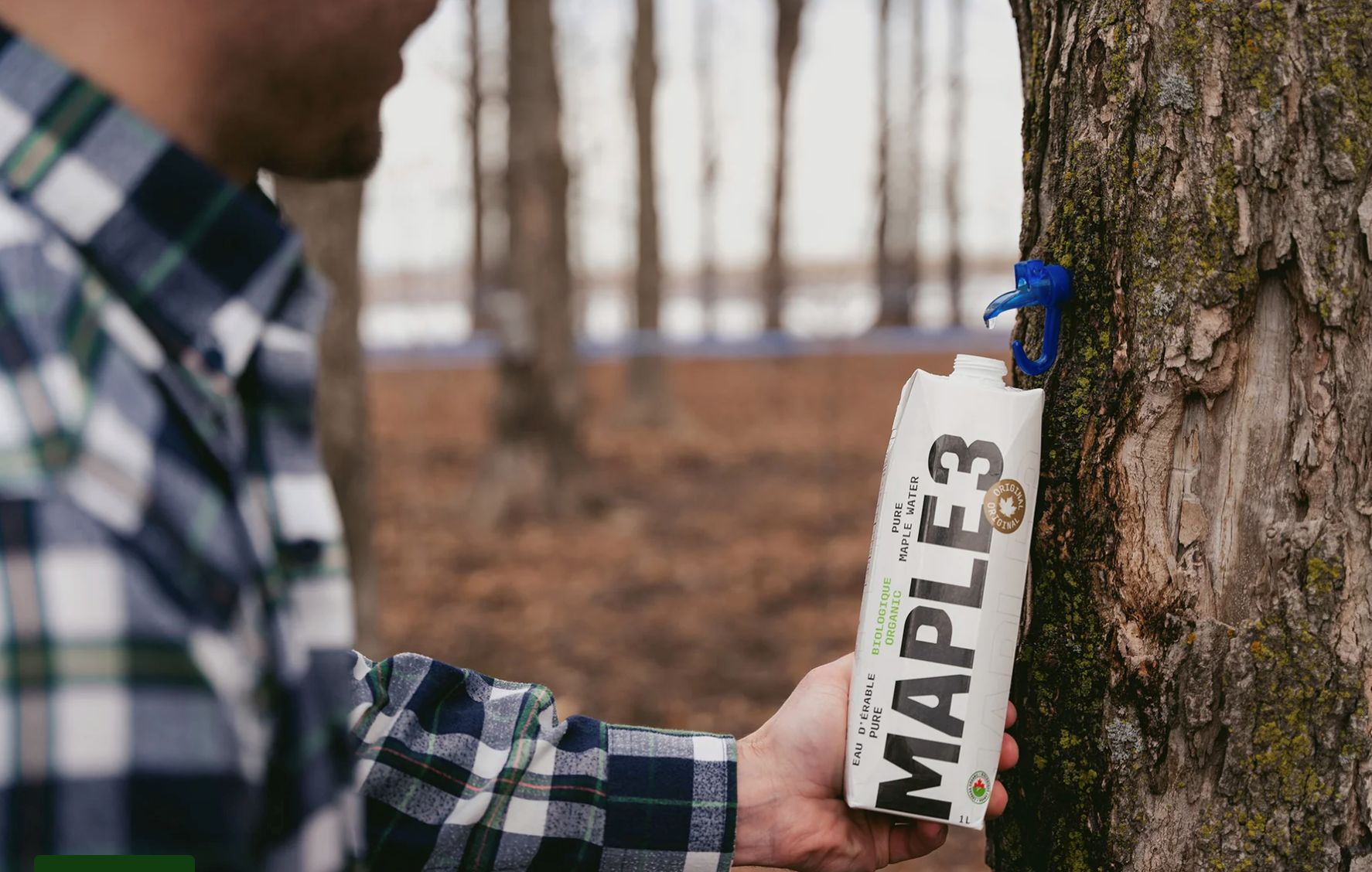 Maple water looks to tap health drink market