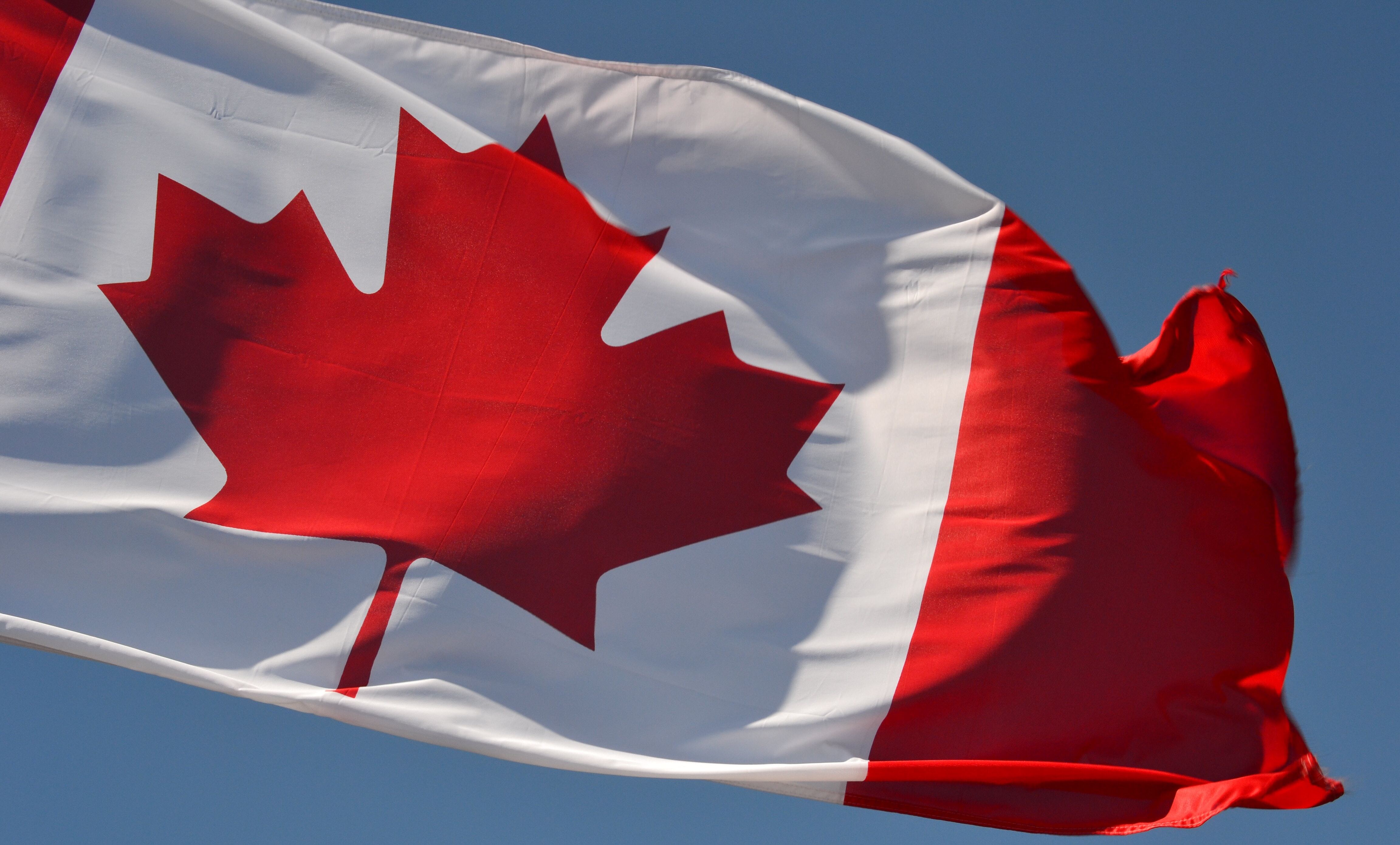 The cost of the immigration boom