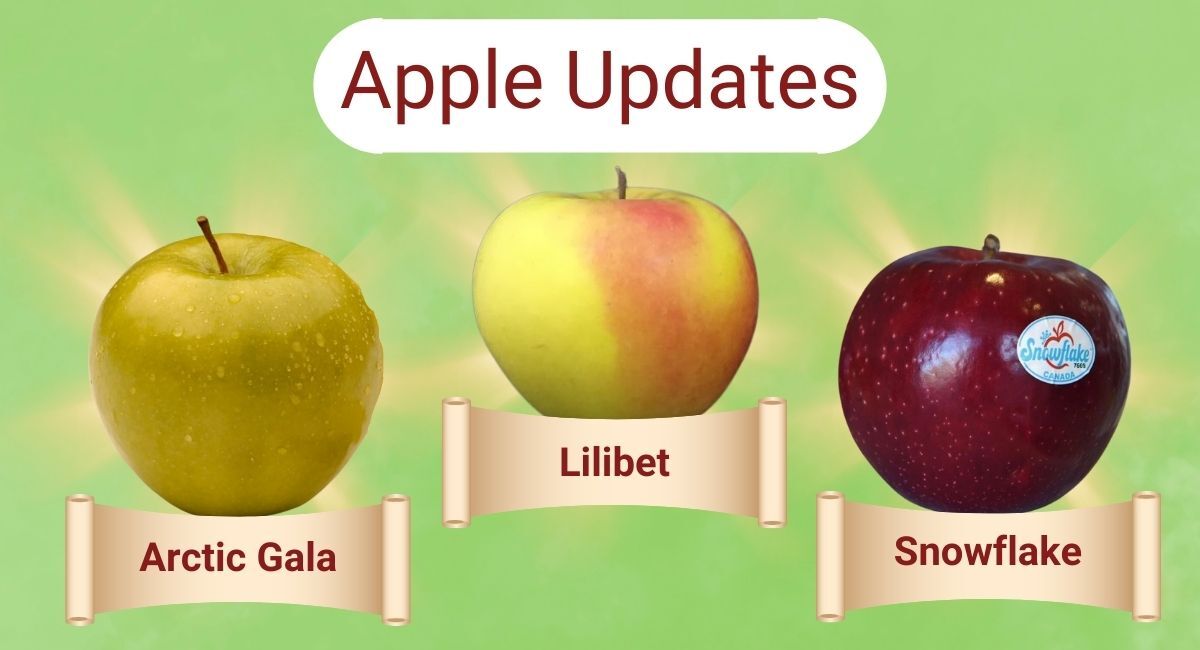 How do you like them (new) apples?