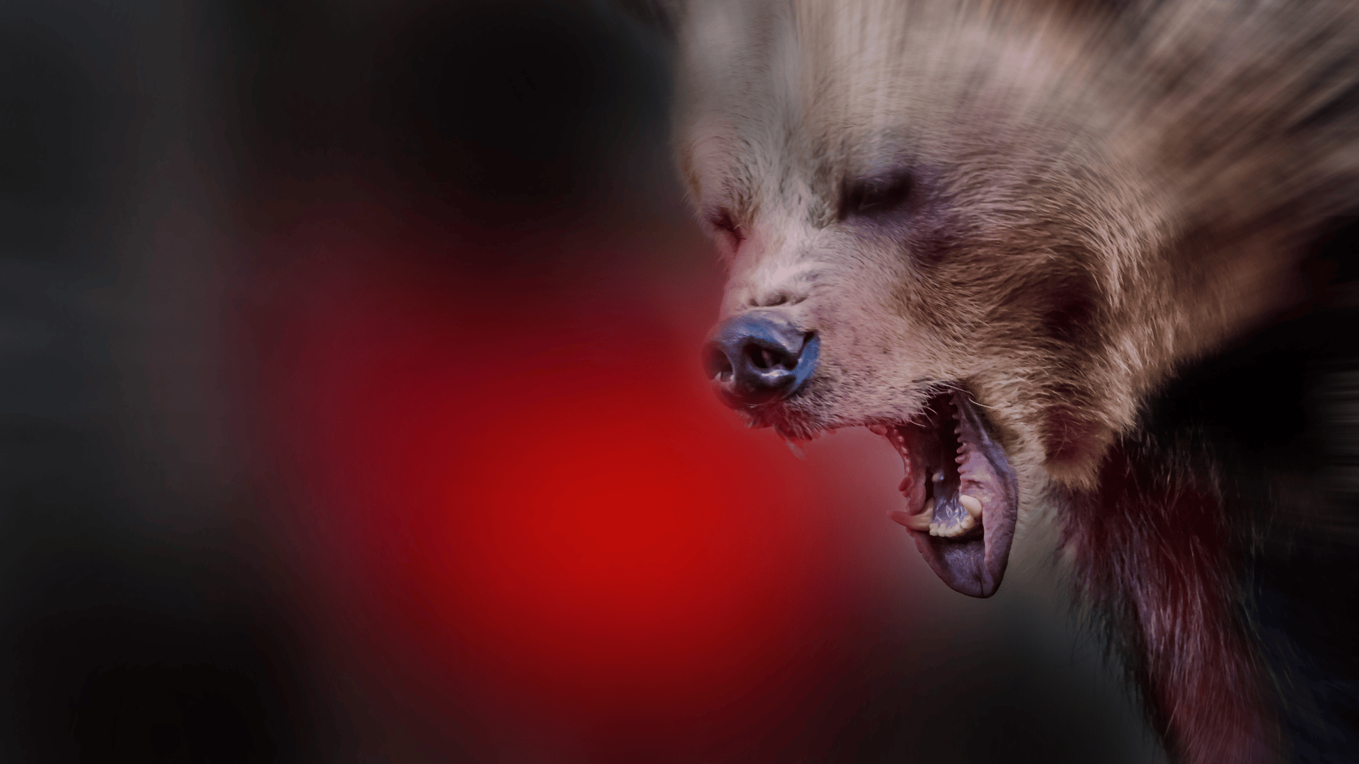 Japan turns to military to deal with bear problem