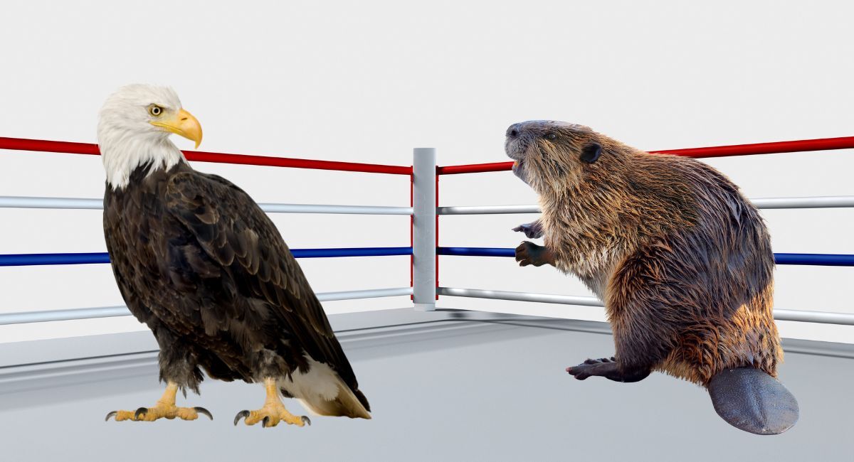 Canada plots dollar-for-dollar tariff retaliation 