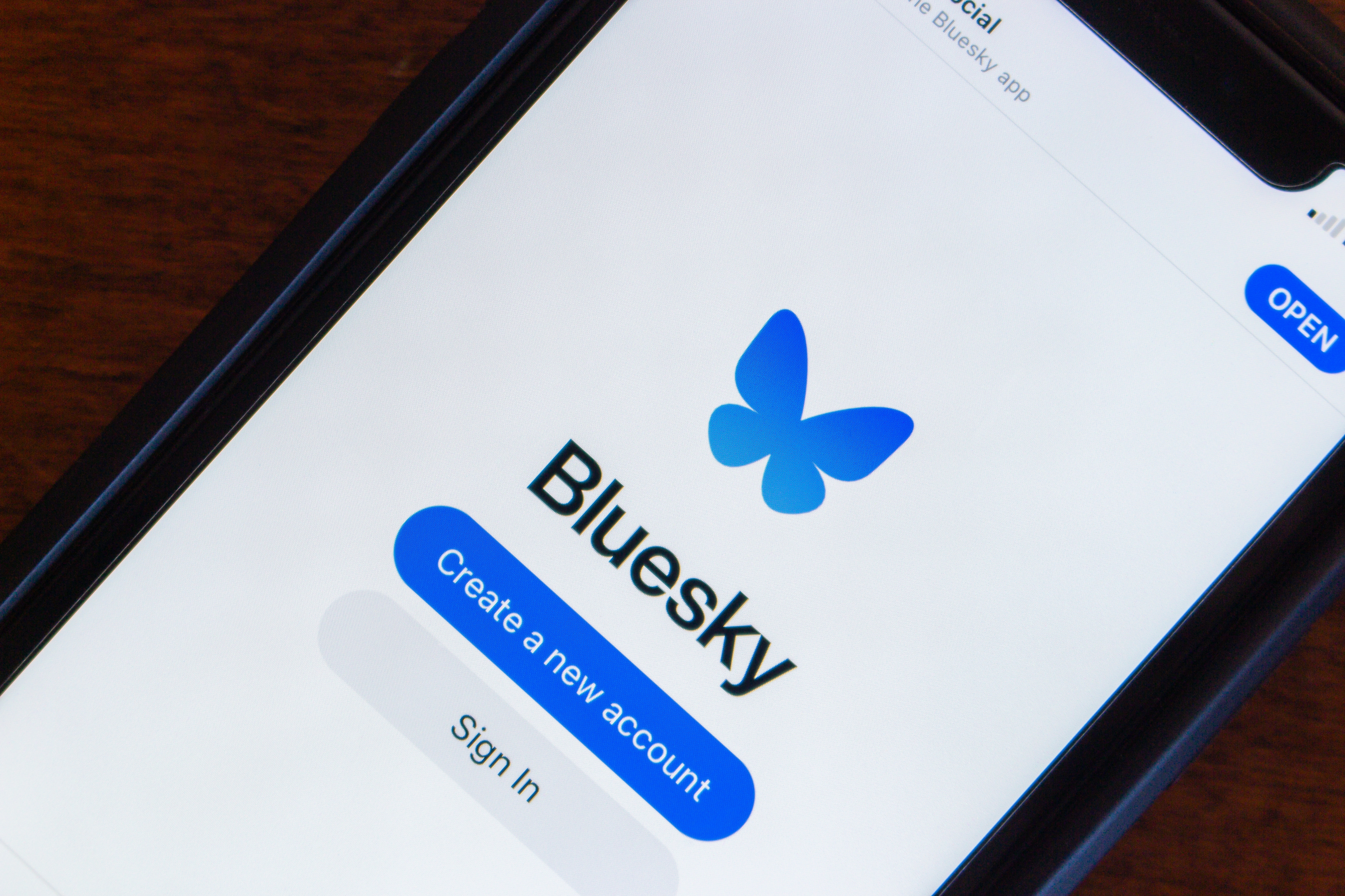 Bluesky gains ground as X alternative