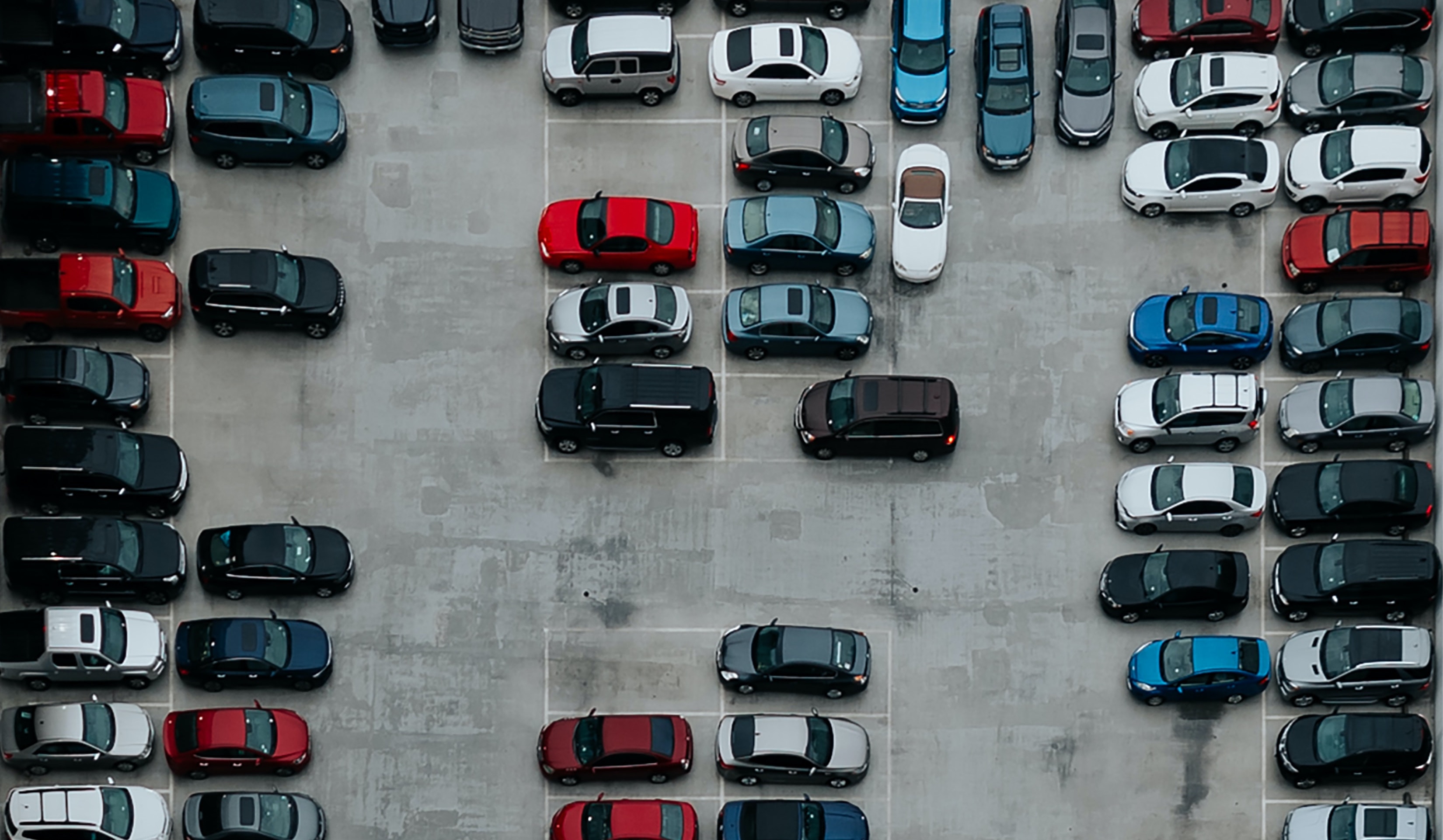 Cars are less private than a nude beach