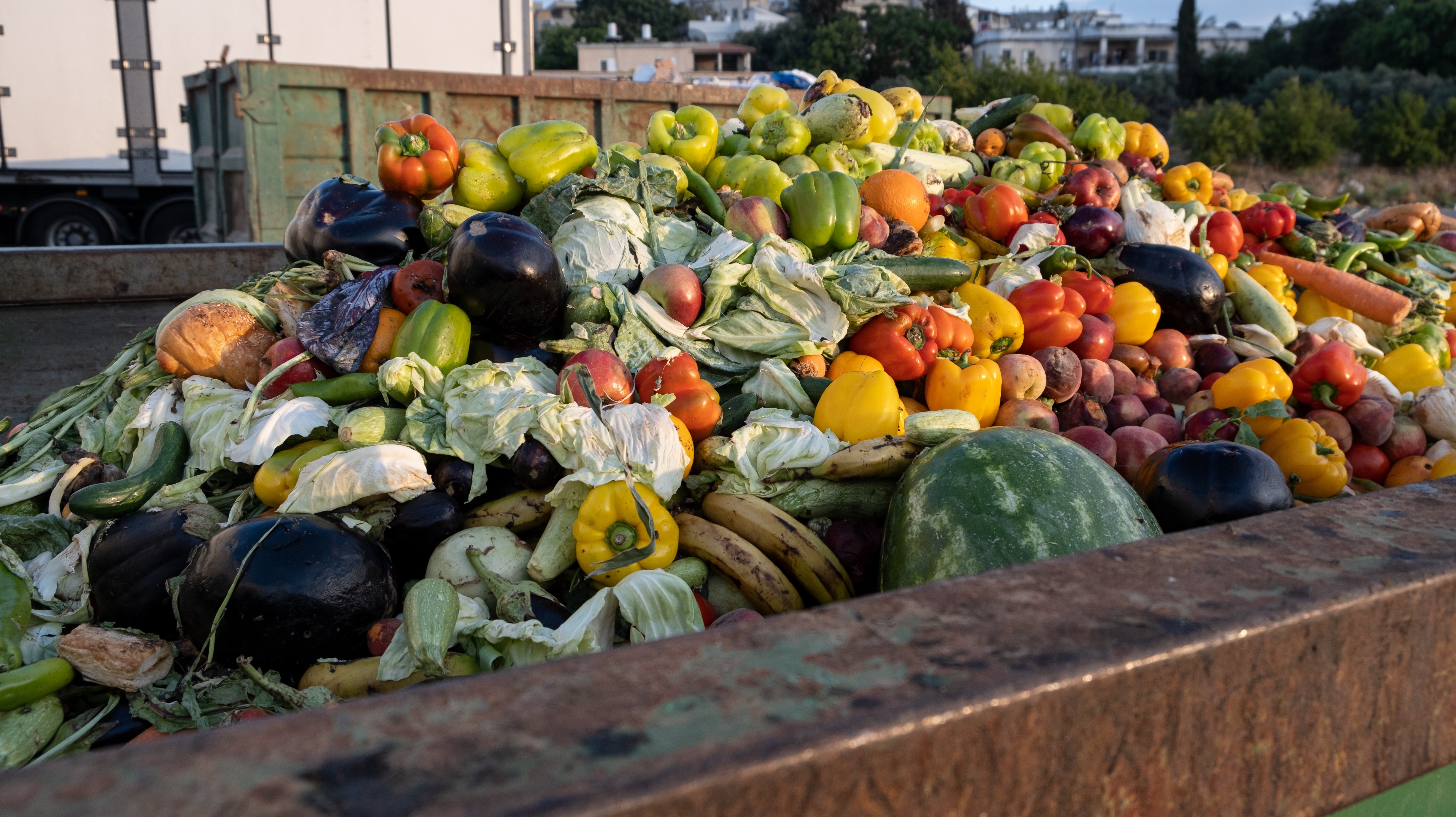 Apps are trying to rescue food from the waste bin