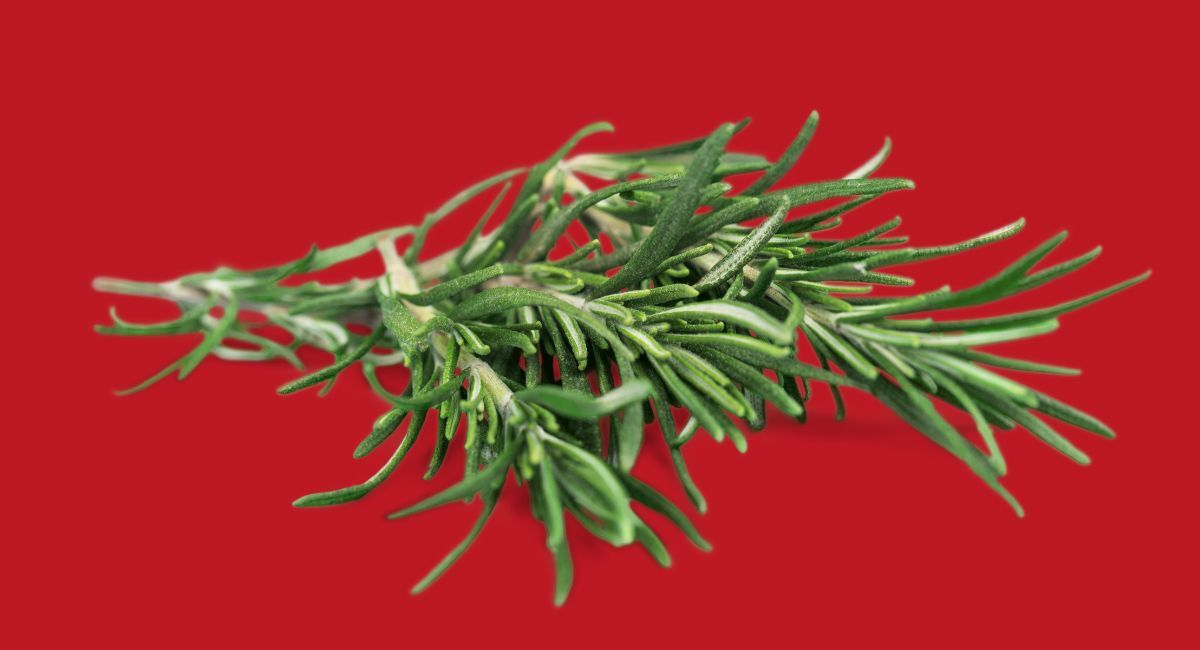 What to do this weekend