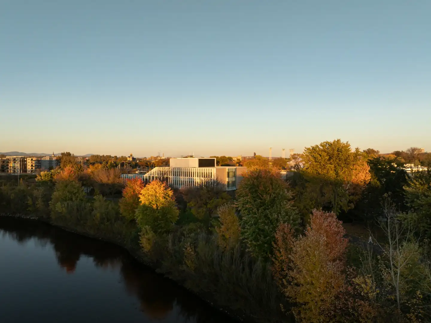 Vue aérienne de l’École Cardinal-Roy entourée d’arbres aux couleurs automnales, mettant en valeur son intégration harmonieuse dans un environnement urbain et naturel.