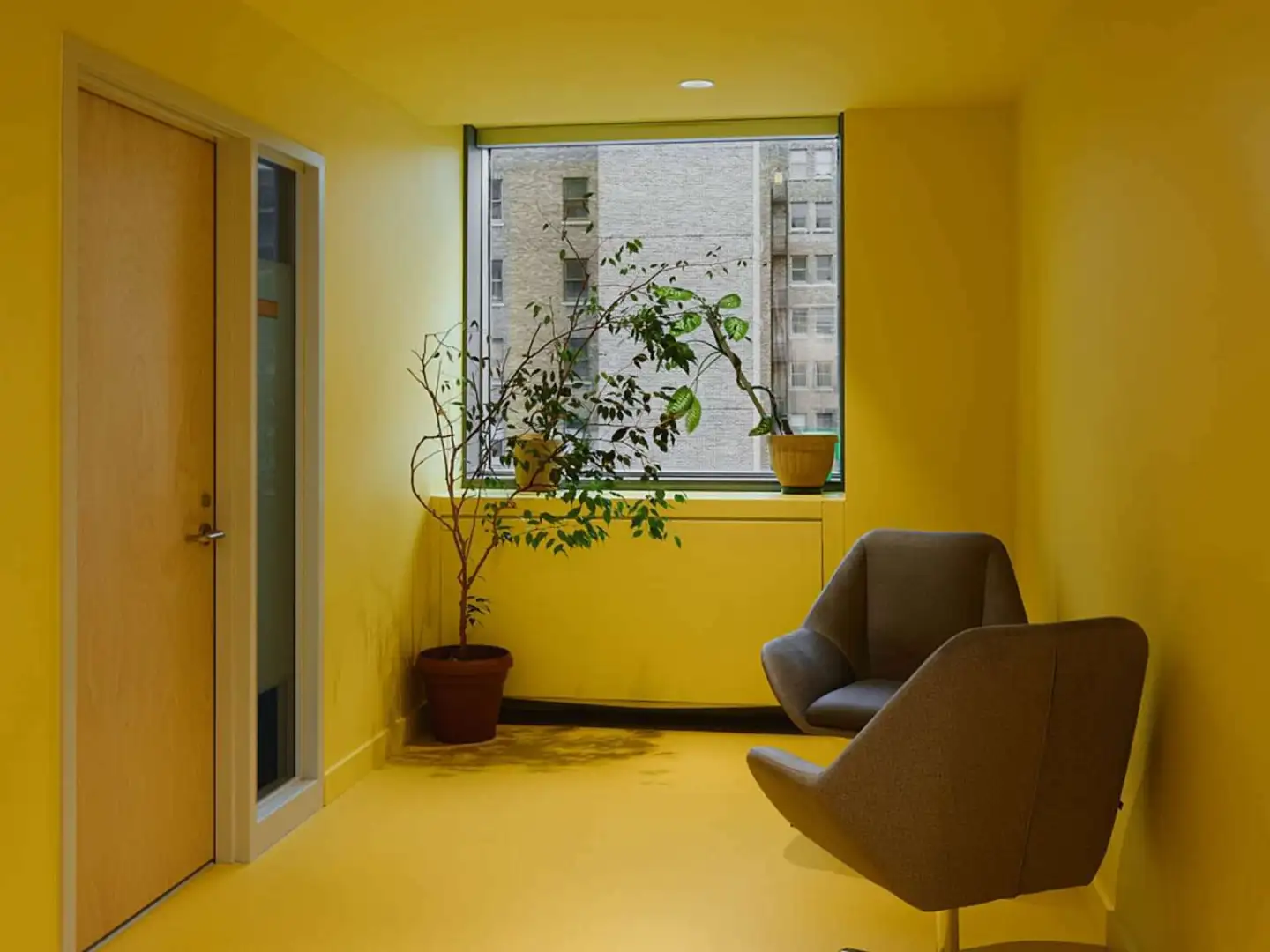 Concordia University