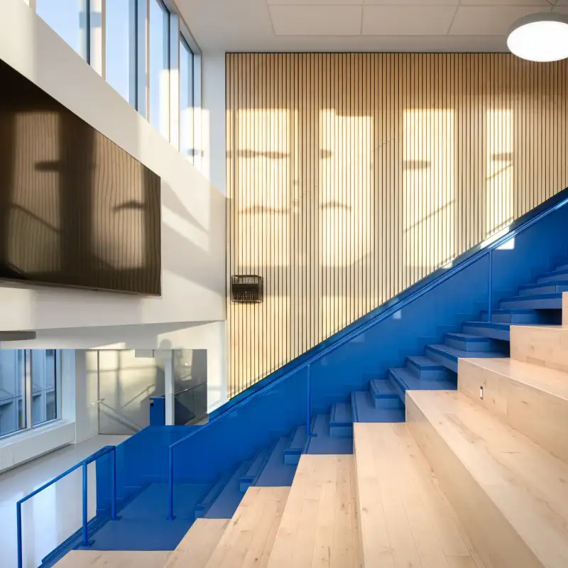 Escalier-gradins multifonction de l’École Cardinal-Roy avec garde-corps bleus, revêtement de bois et lumière naturelle abondante.