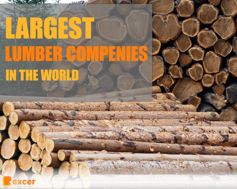 7 Largest Lumber Companies in the World