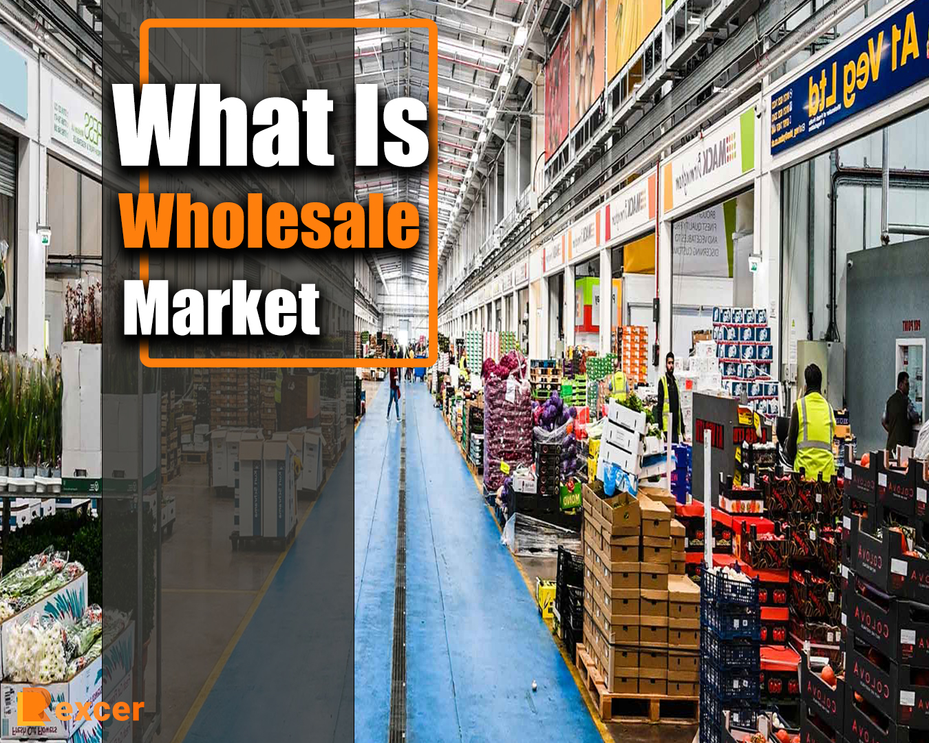 what is wholesale market,7 Reasons to Buy