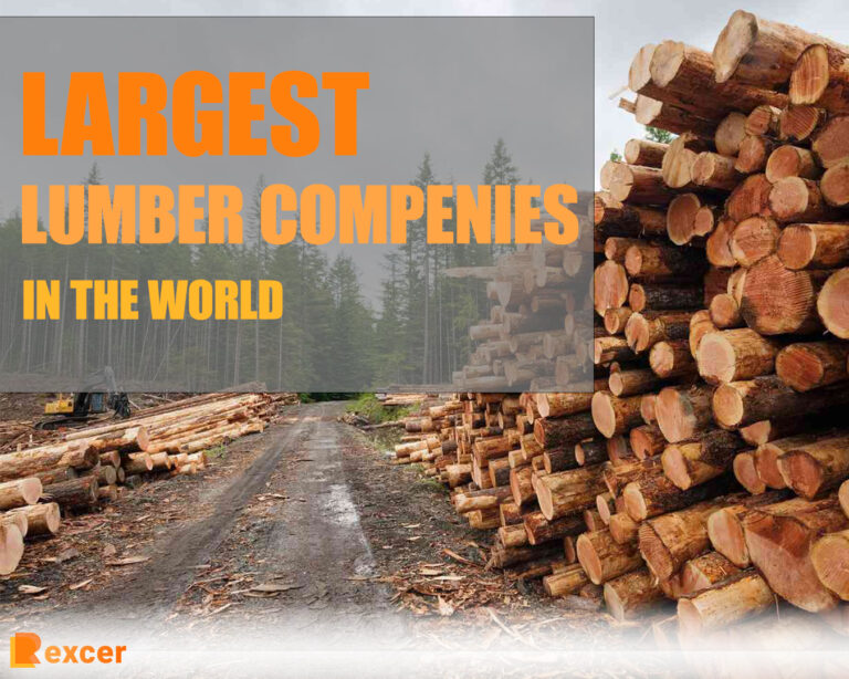 7 Largest Lumber Companies in the World