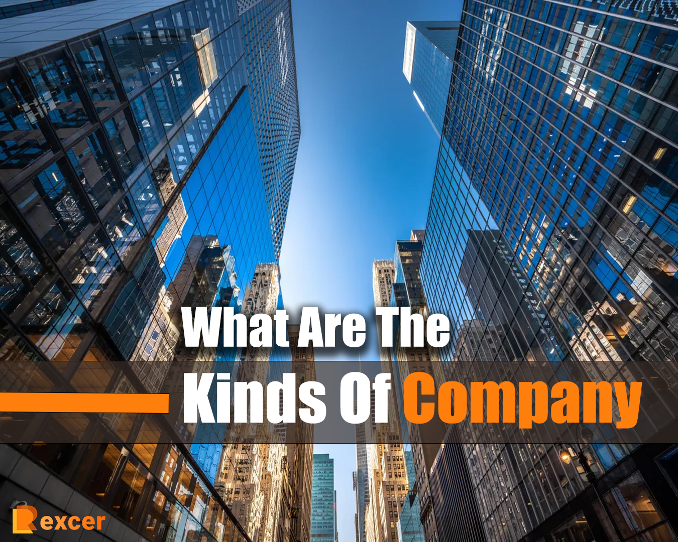 what are the kinds of company,7 Types of Companies