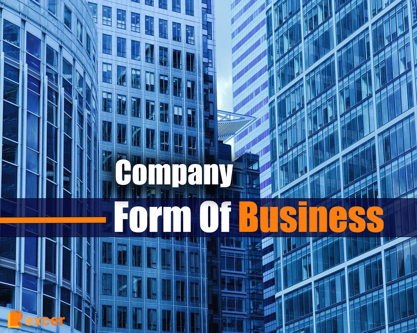 company form of business