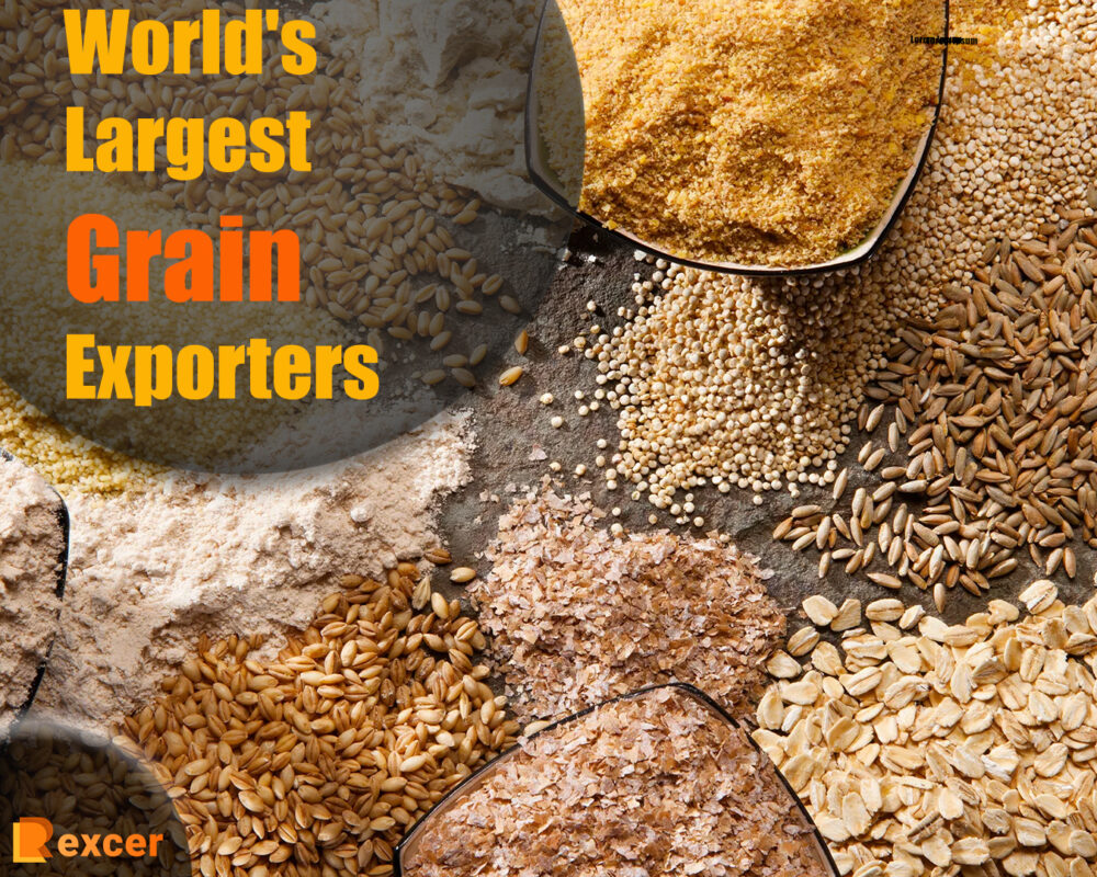 World's Largest Grain Exporters, A Comprehensive Guide