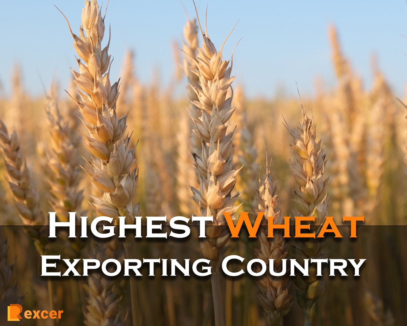 Highest Wheat Exporting Country, 7 Reasons