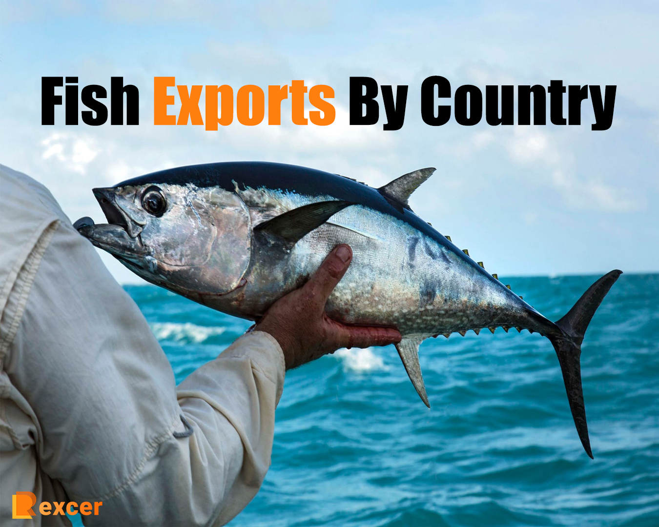Fish Exports By Country
