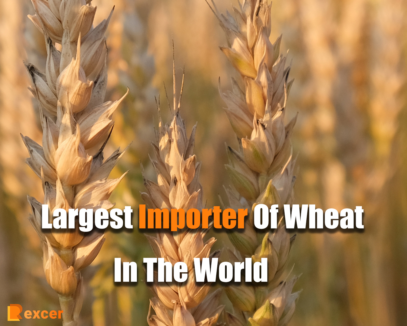Largest Importer Of Wheat In The World