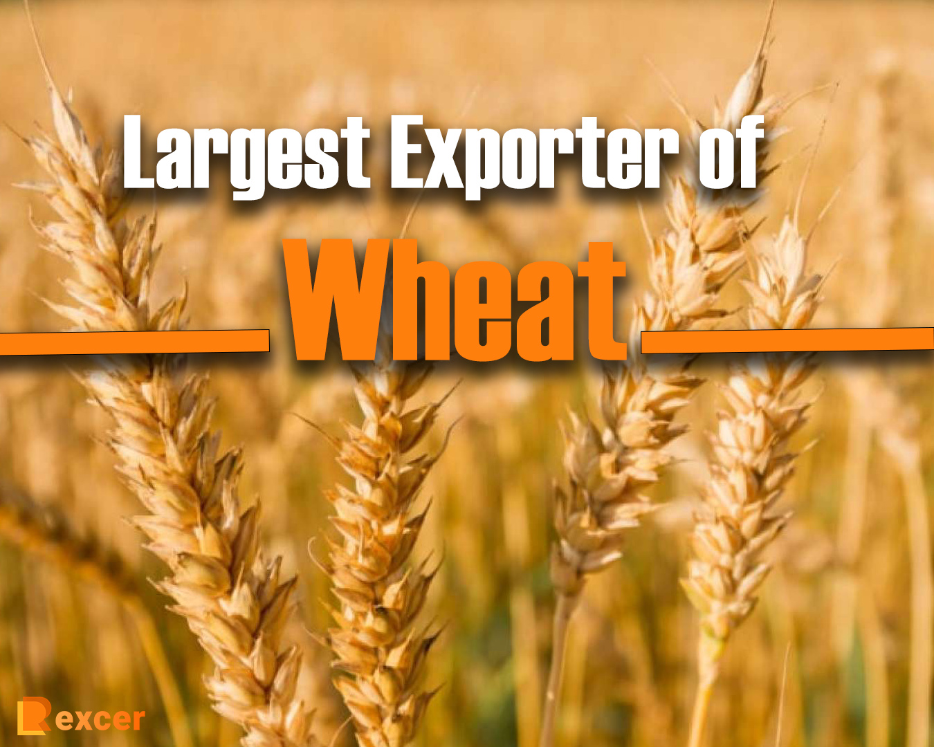 Largest Exporter of Wheat, The 5 Biggest Wheat Exporters