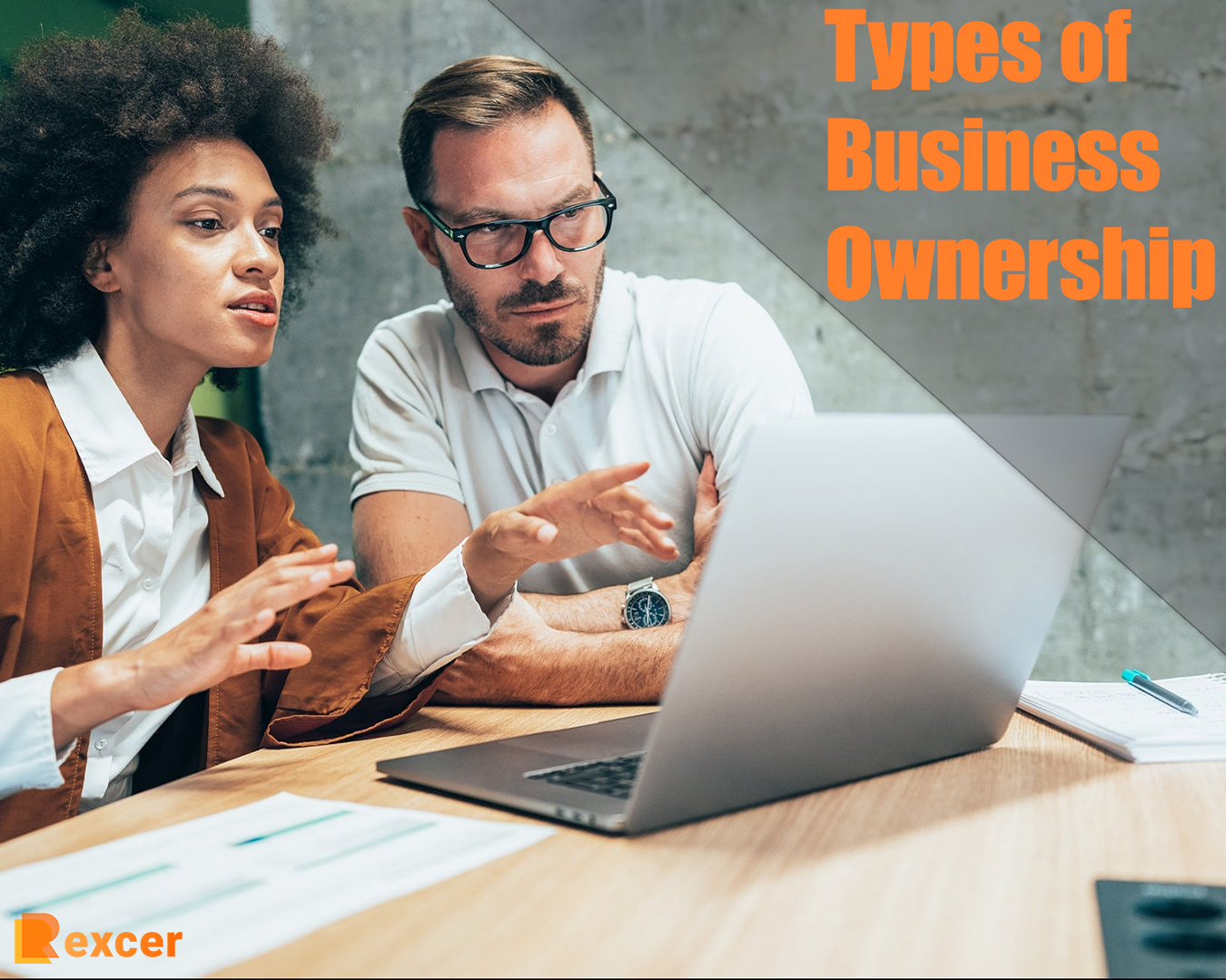 4 types of business ownership, What You Need to Know