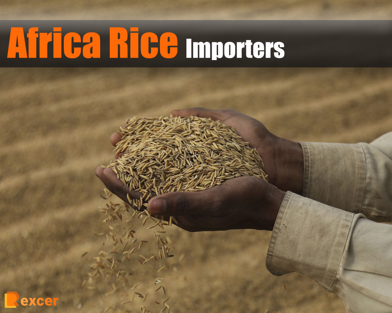 Africa Rice Importers, Why Africa Should Import Less Rice