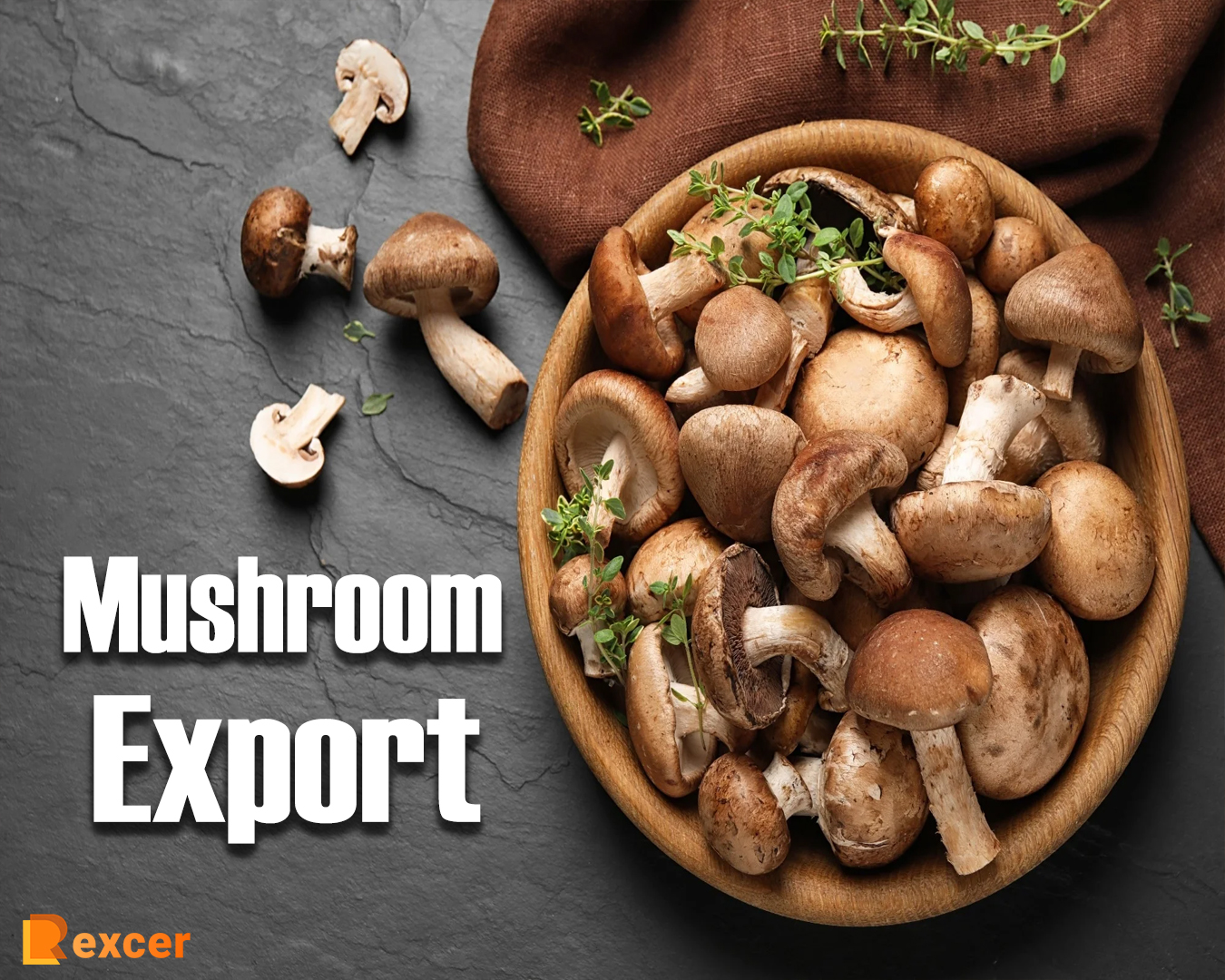 Mushroom Export, 7 Reasons Why It's a Lucrative Business