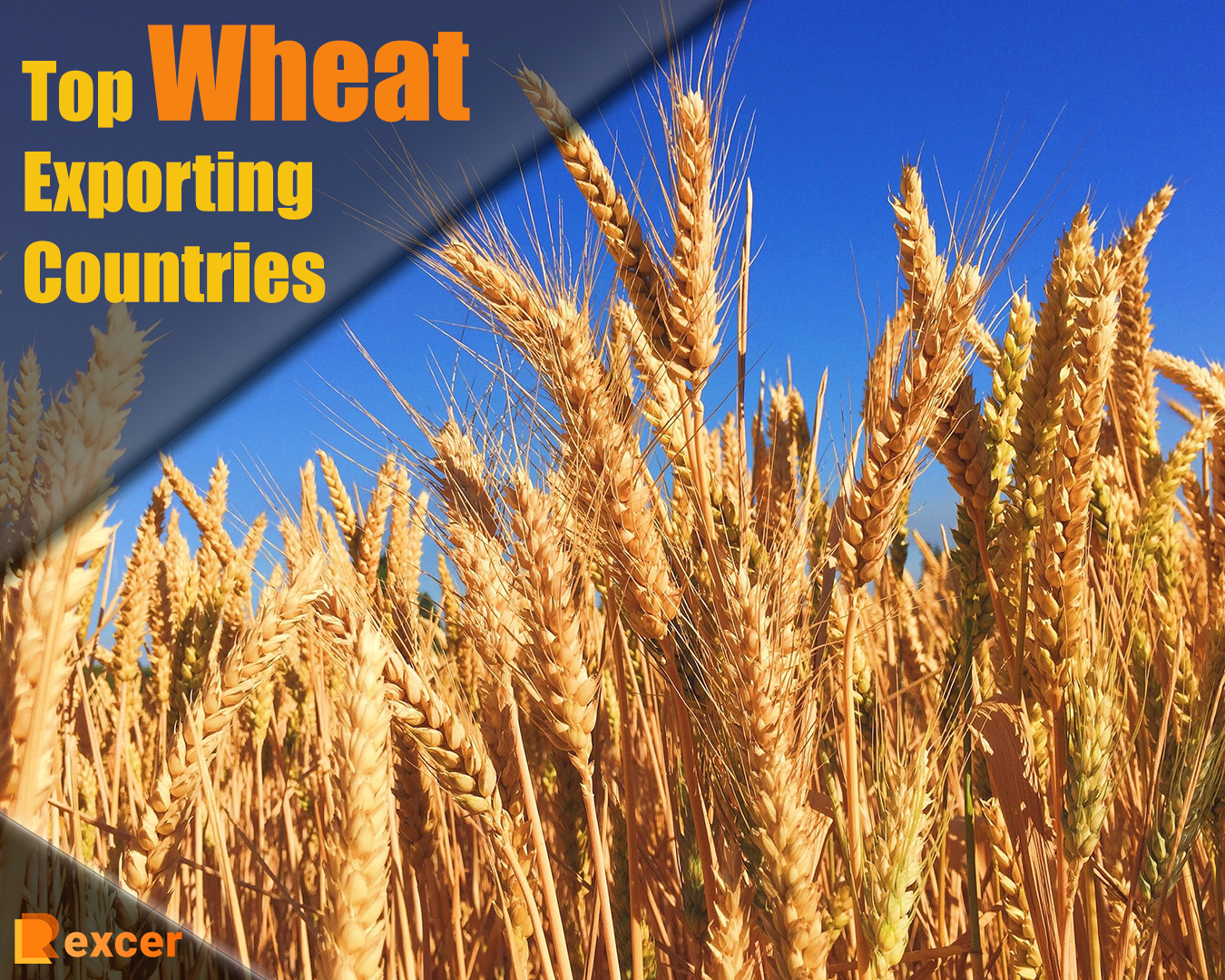 Top Wheat Exporting Countries A Comprehensive Guide top-wheat-exporting-countries-a-comprehensive-guide