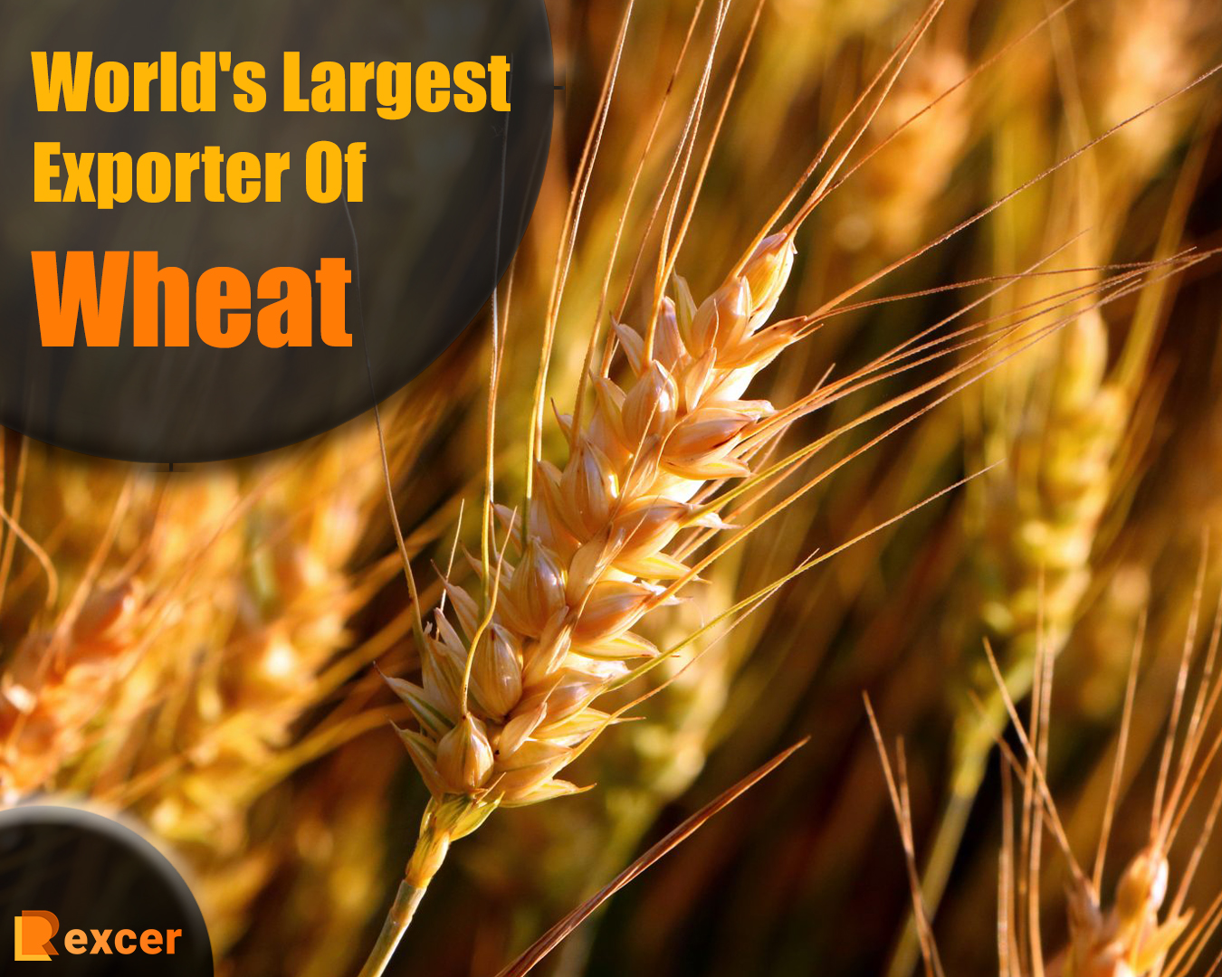 World's Largest Exporter Of Wheat