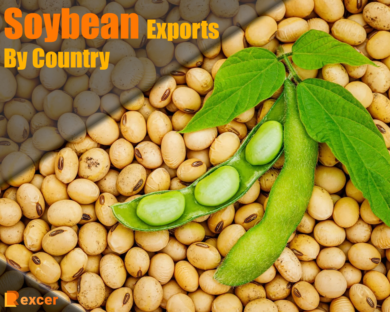 Soybean Exports By Country