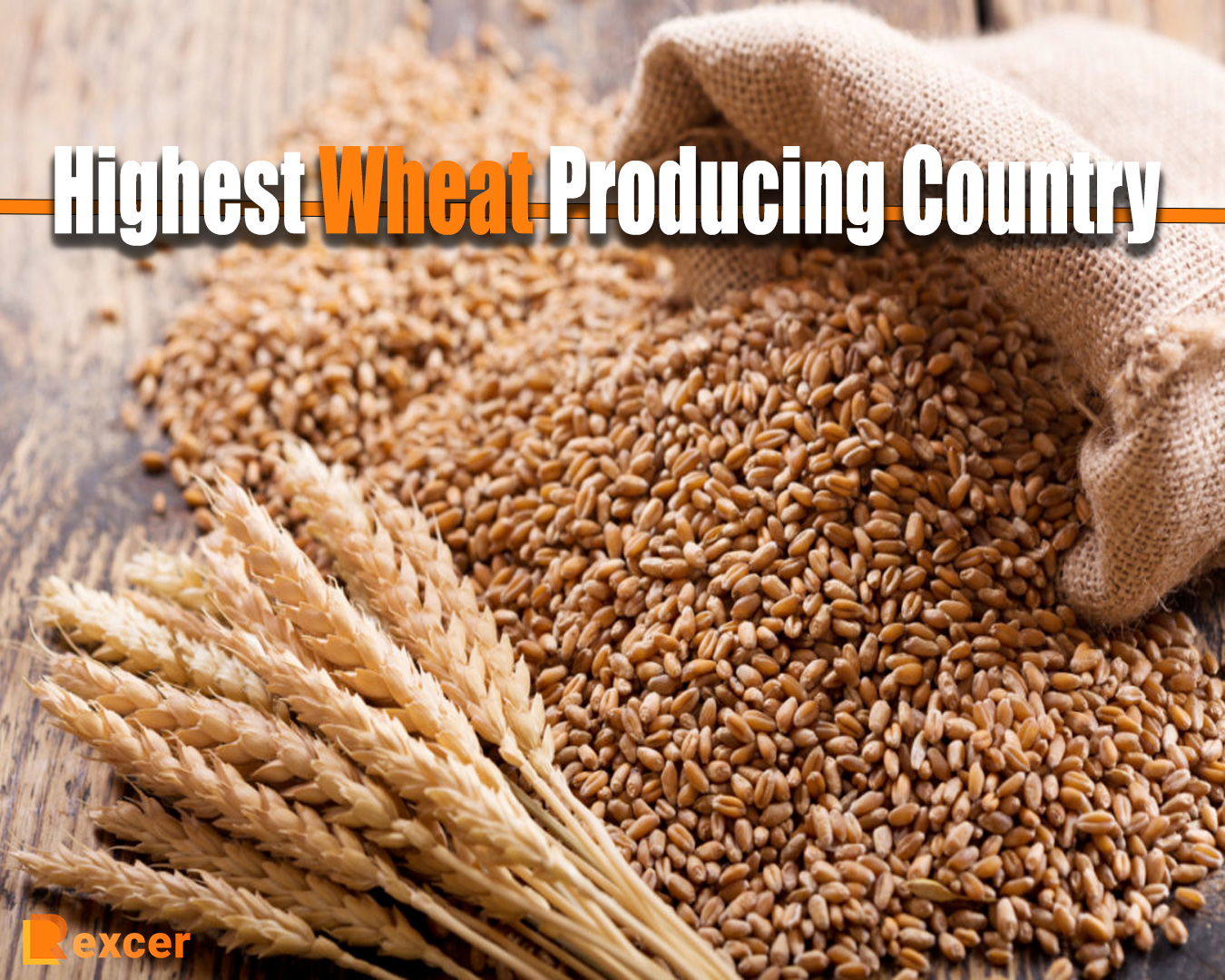 Highest Wheat Producing Country, 2024 Analysis