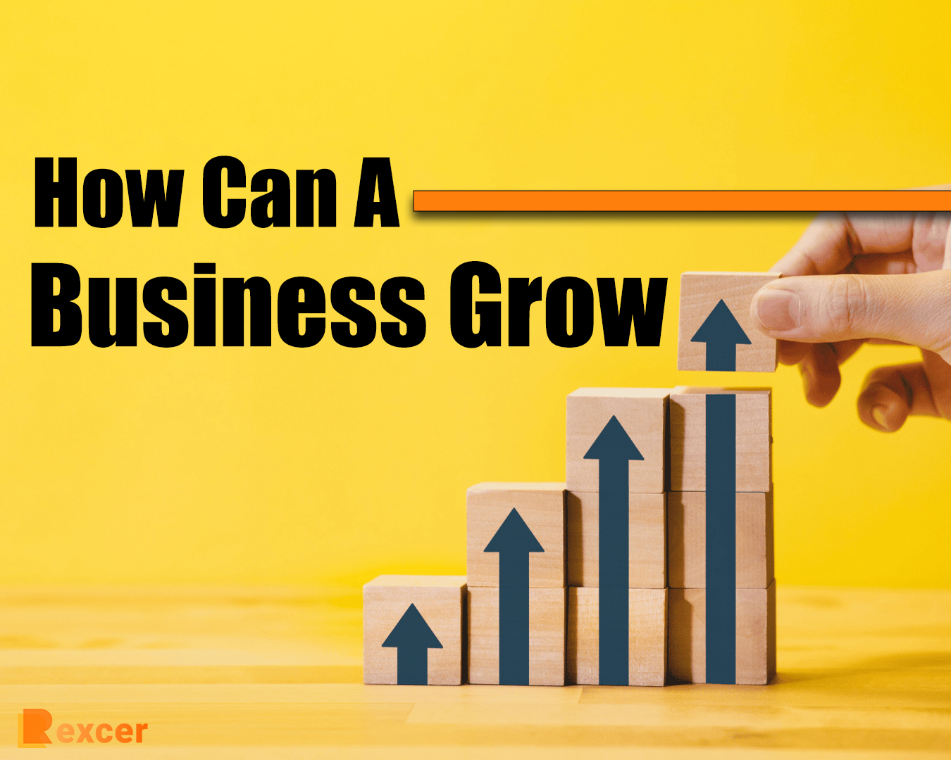 How Can A Business Grow how-can-a-business-grow