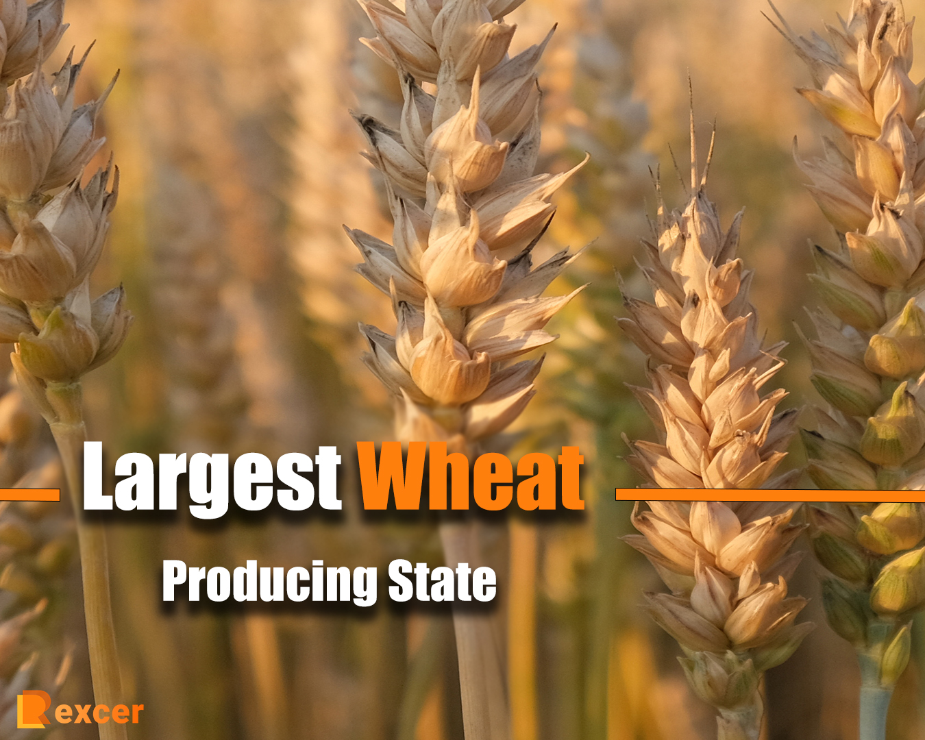 Largest Wheat Producing State, A Comprehensive Guide