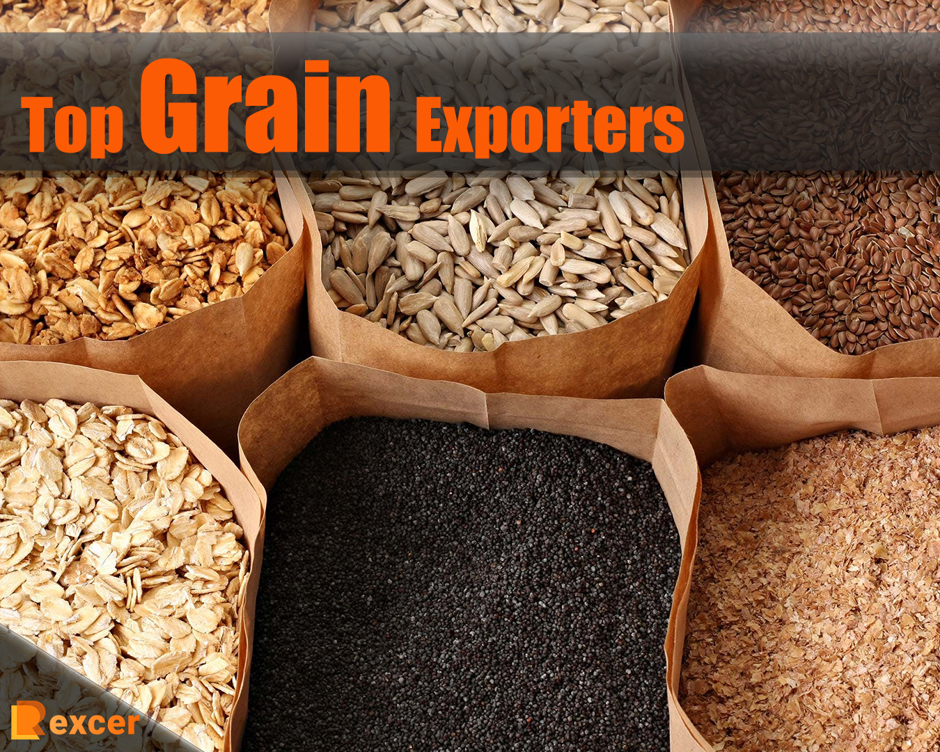 Top Grain Exporters