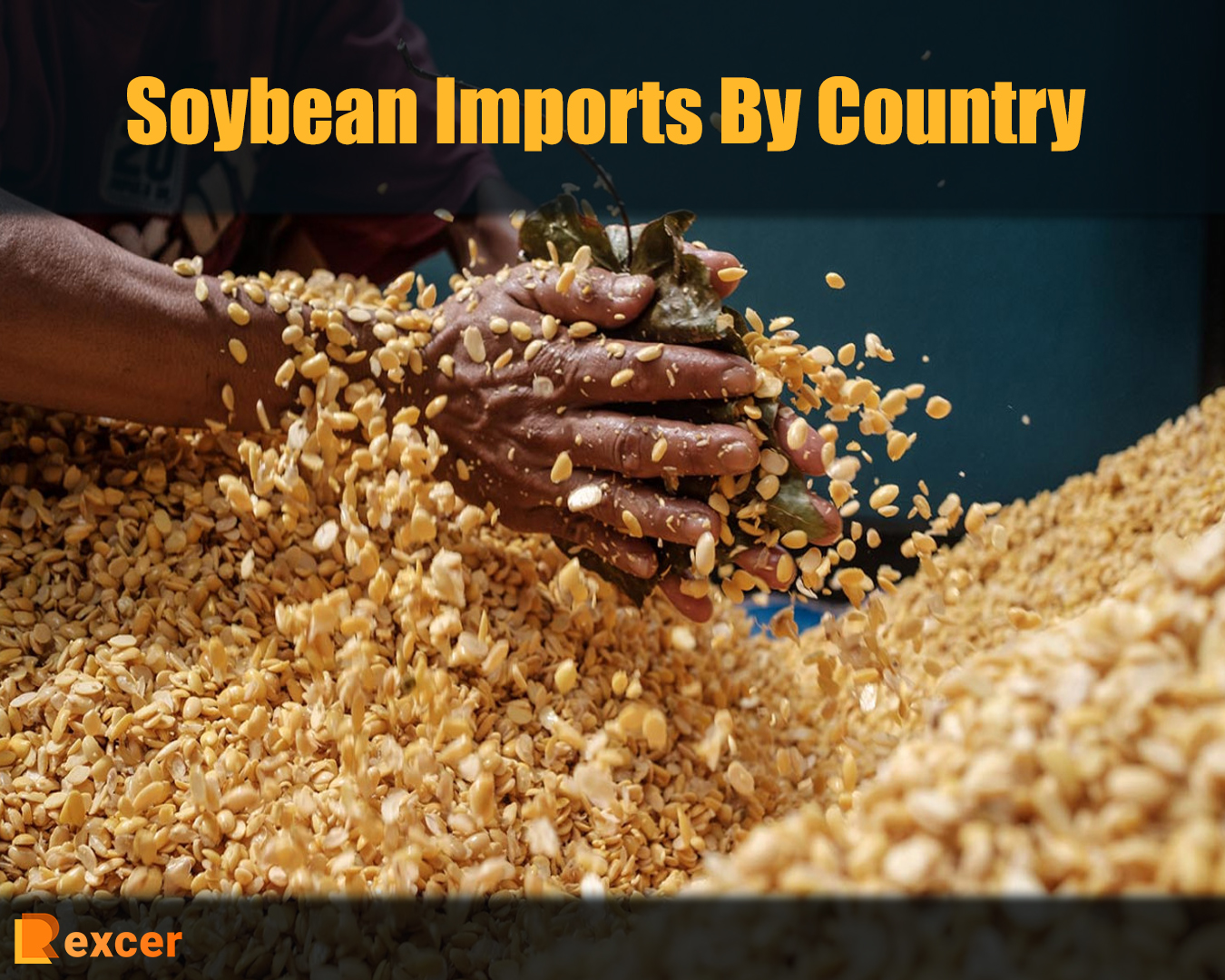 Soybean Imports By Country, A Global Overview