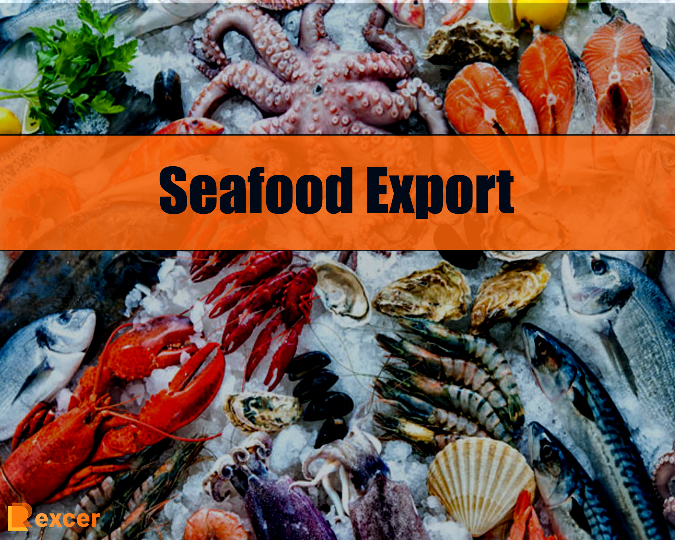 Seafood Export, A Growing Industry in a Changing World