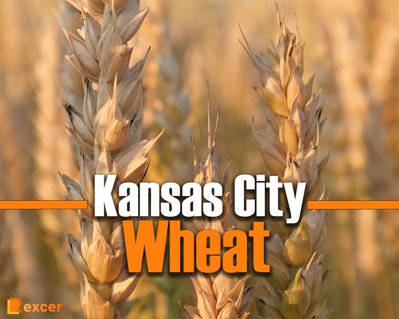 Kansas City Wheat, 7 Reasons to Visit Kansas City