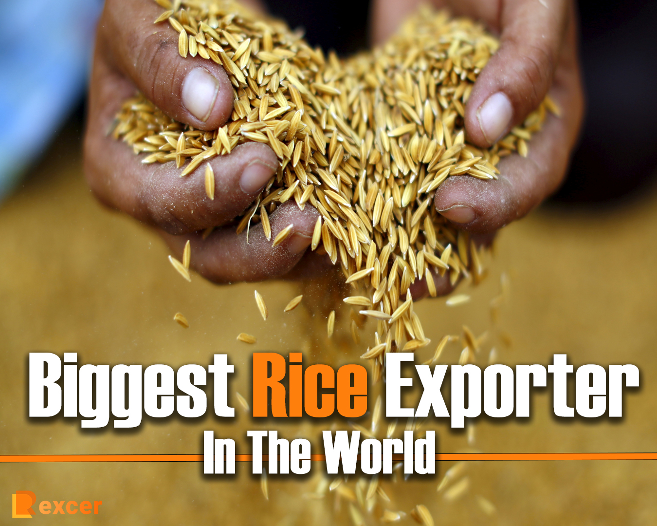 Biggest Rice Exporter In The World