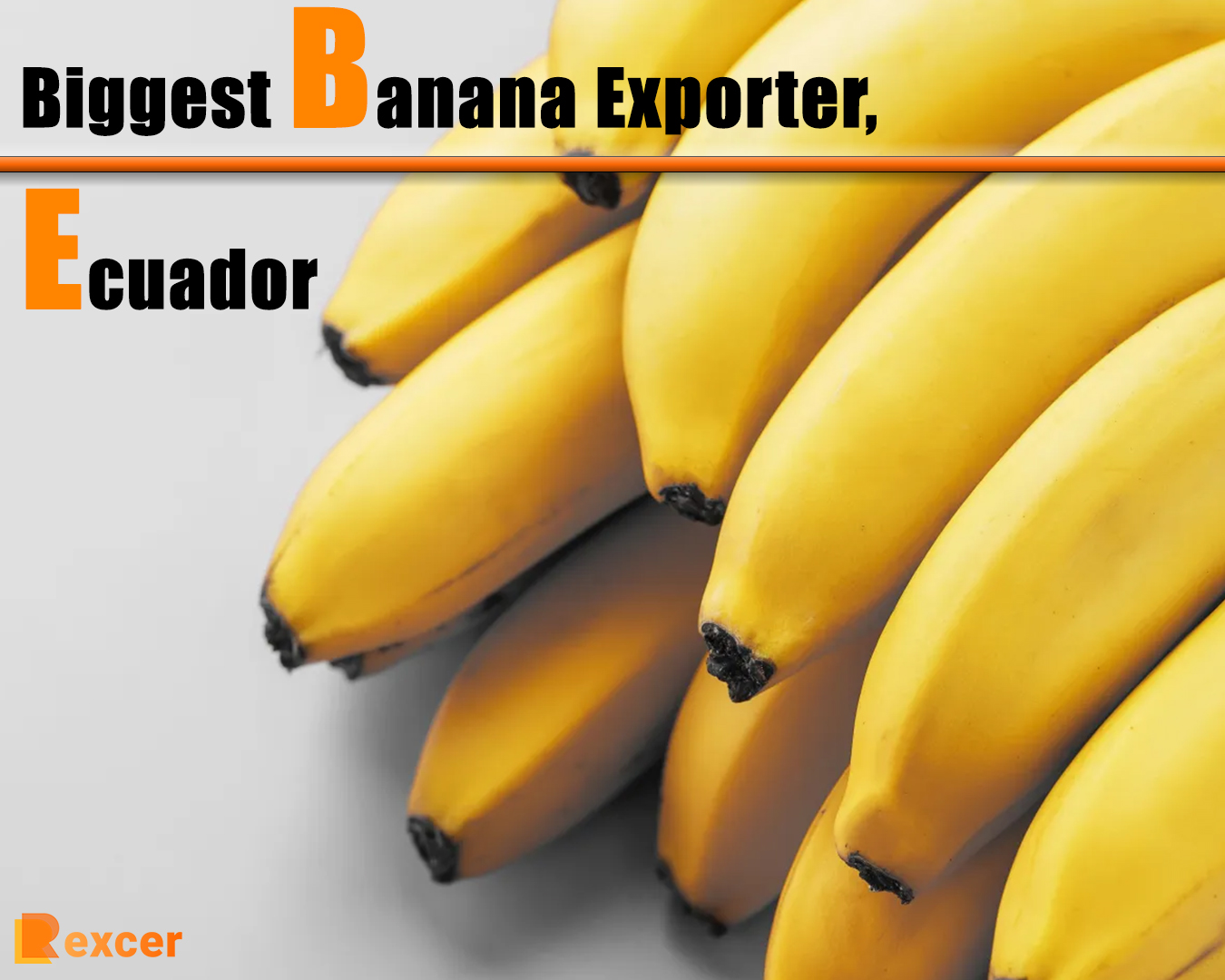 Biggest Banana Exporter, Ecuador