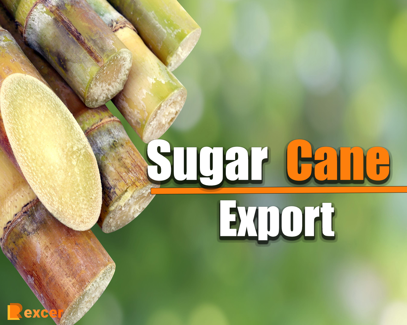Sugar Cane Export, 7 Reasons Why It's a Lucrative Business