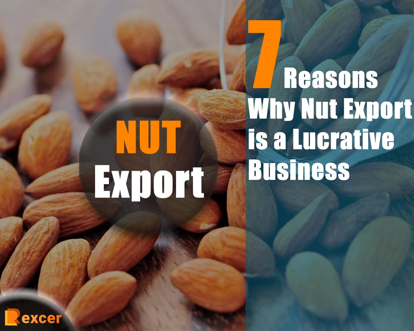 Nut Export, 7 Reasons Why Nut Export is a Lucrative Business