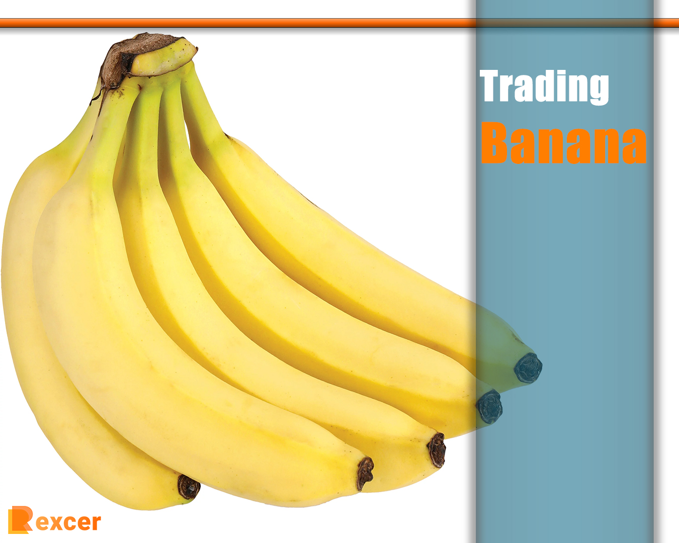 Trading Banana, 7 Reasons Why Trading Bananas Is Profitable