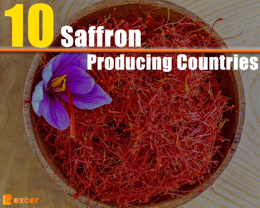 Top 10 Saffron Producing Countries You Should Know About