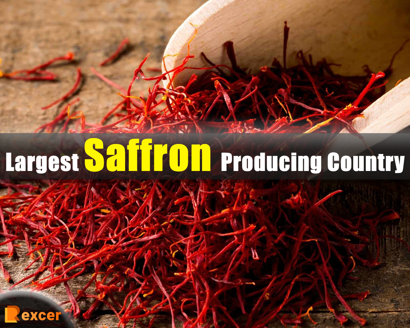 Largest Saffron Producing Country, A Global Overview