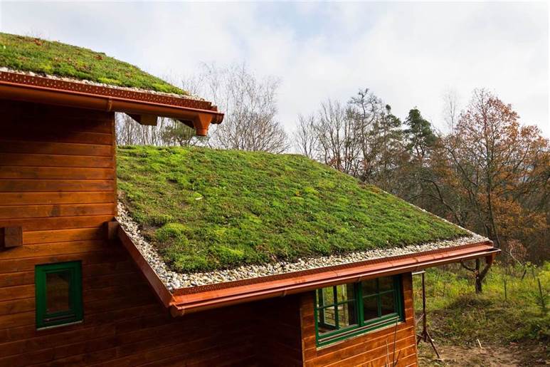 Eco-Friendly Living: Why are Green Roofs Beneficial to the Community? -  Roofco: Winnipeg Roofing Contractor, Exterior Renovation Company