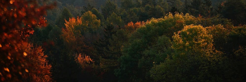 Pour un Outaouais vert et prospère