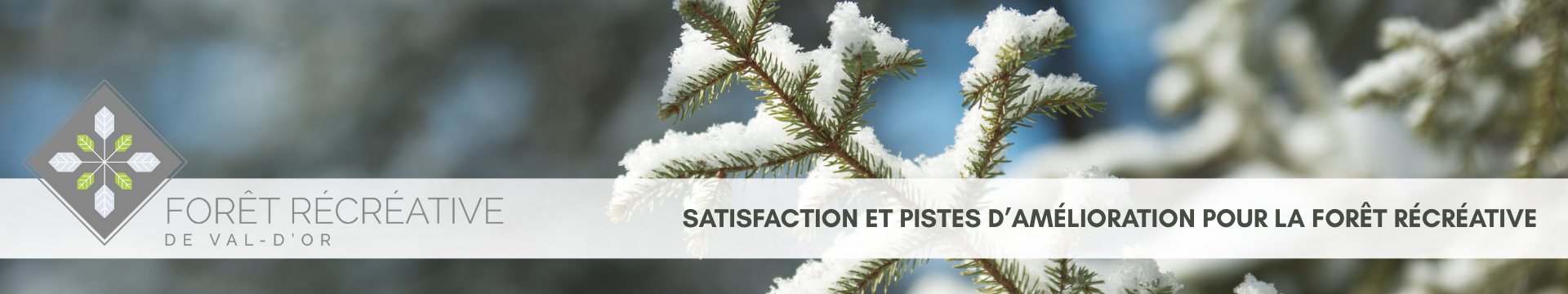 Sondage – Satisfaction et pistes d’amélioration pour la Forêt ...