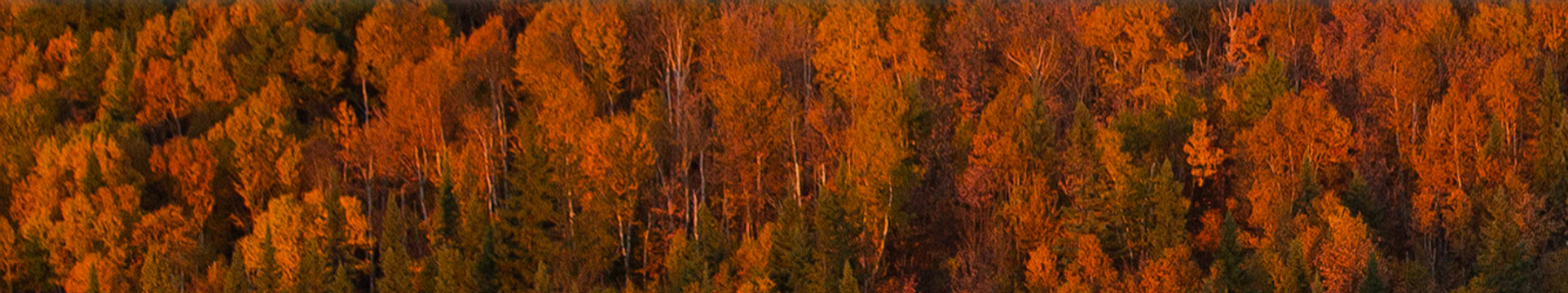 Forêt récréative de Val d'Or