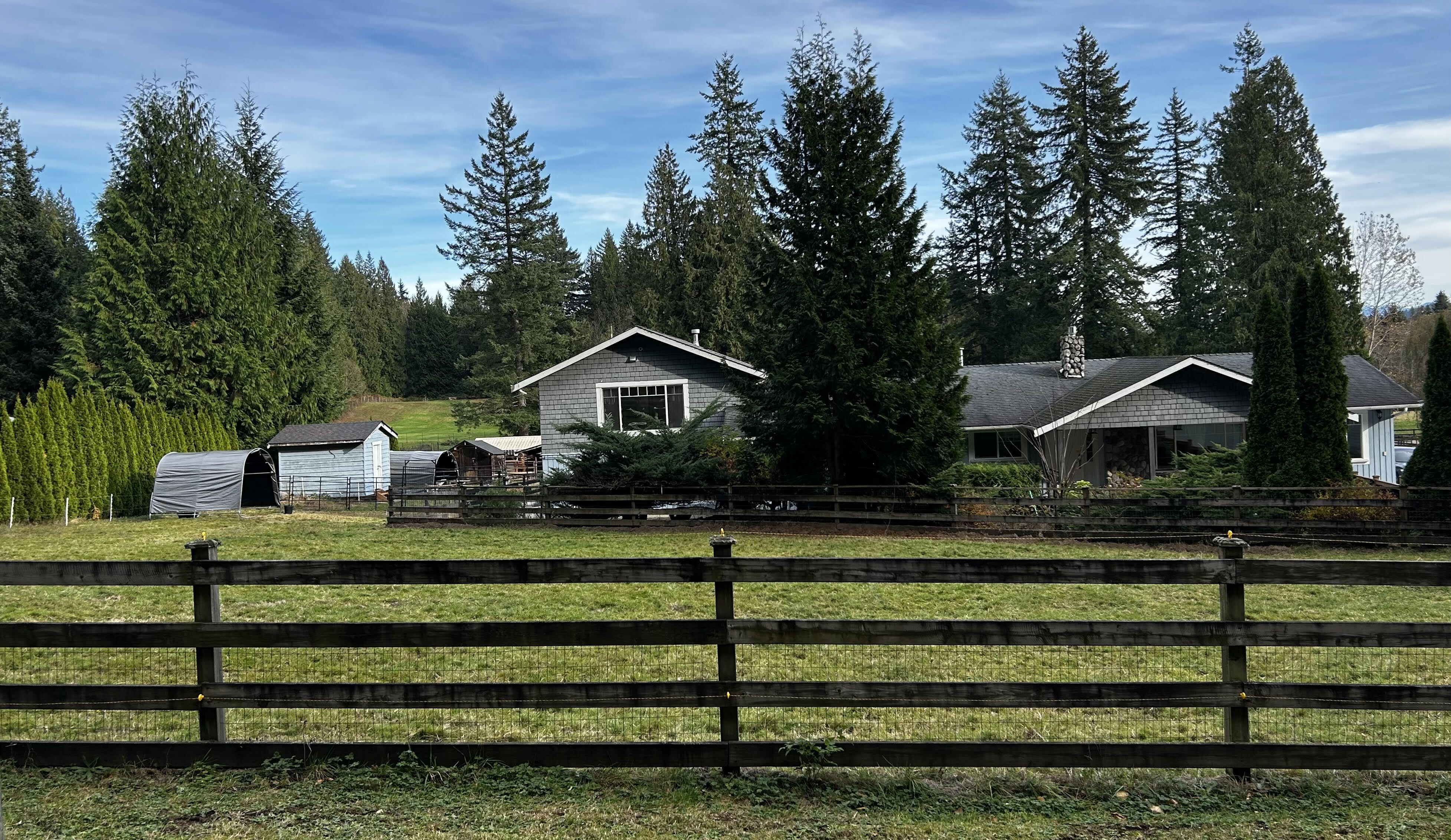 Sanctuary - Picture from the Street