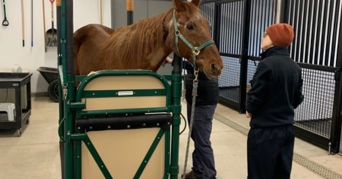 Know your limits SAINTS Rescue